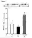 Fig. 02 - Method for treating renal disease