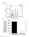 Fig. 04 - Method for treating renal disease