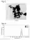 Fig. 07 - HIGHLY DISPERSIBLE INORGANIC COMPOUND NANOPARTICLES AND METHOD OF PRODUCTION THEREOF