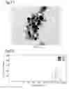 Fig. 08 - HIGHLY DISPERSIBLE INORGANIC COMPOUND NANOPARTICLES AND METHOD OF PRODUCTION THEREOF