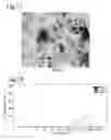 Fig. 09 - HIGHLY DISPERSIBLE INORGANIC COMPOUND NANOPARTICLES AND METHOD OF PRODUCTION THEREOF