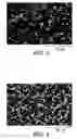 Fig. 04 - Dielectric material