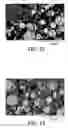 Fig. 08 - Dielectric material