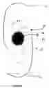Fig. 02 - Ophthalmic apparatuses and methods