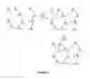 Fig. 08 - Triazine Containing Polymers