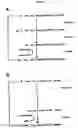 Fig. 02 - Solid-phase peptide synthesis and agent for use in such synthesis