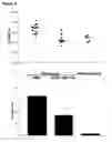 Fig. 09 - Antagonists of MCP proteins