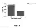 Fig. 20 - Covalent diabodies and uses thereof