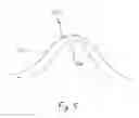 Fig. 06 - Wavelet transform of a plethysmographic signal