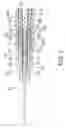 Fig. 06 - Disposable syringe