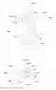 Fig. 06 - Ocular injection device and method