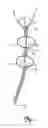 Fig. 02 - Apparatus and Method of Treating Urinary Incontinence by Heating Urethra