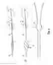 Fig. 07 - Apparatus and Method of Treating Urinary Incontinence by Heating Urethra