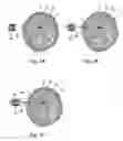 Fig. 04 - Aiming arm hole shaped to perform an incision through, and method to use that same