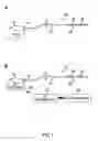 Fig. 02 - Method of treating depression, mood disorders and anxiety disorders using neuromodulation
