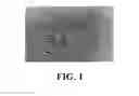 Fig. 02 - Connective tissue substitutes, method of preparation and uses thereof