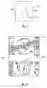 Fig. 06 - System and method for enhancing computer-generated images of terrain on aircraft displays
