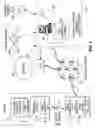 Fig. 02 - Cellphone based vehicle diagnostic system
