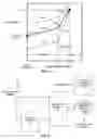 Fig. 07 - Weather radar echo tops forecast generation
