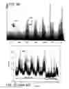 Fig. 06 - Graphical display and correlation of severity scores of system metrics