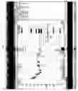 Fig. 19 - Real time graphical user interface for on-line trading