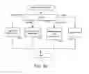 Fig. 71 - Routing control for orders eligible for multiple markets