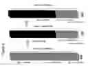 Fig. 09 - System and method for evidence accumulation and hypothesis generation