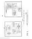 Fig. 06 - Architecture and system for host management