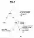 Fig. 02 - Supporting replication among a plurality of file operation servers
