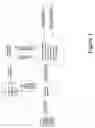 Fig. 02 - Delta code messaging