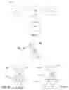 Fig. 02 - Asynchronous communicative exchange