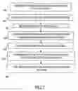 Fig. 06 - User identity privacy in authorization certificates