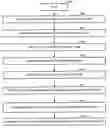 Fig. 01 - Synchronization aspects of interactive multimedia presentation management