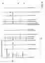 Fig. 06 - Synchronization aspects of interactive multimedia presentation management