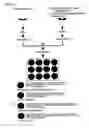 Fig. 03 - Environmental stress responsive promoter