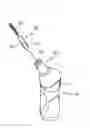 Fig. 01 - Automatic interdental cleaner