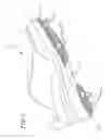 Fig. 02 - Cleat protector shoe cover