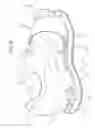 Fig. 09 - Cleat protector shoe cover