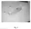 Fig. 08 - Electronic carpenter bee trap