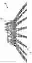 Fig. 01 - Augmentor spray bars