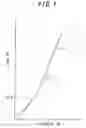 Fig. 02 - Pneumatic radial tire with polyethylene terephthalate cord belt reinforcing layer