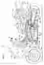Fig. 09 - Swing arm support structure in a motorcycle, and motorcycle incorporating same