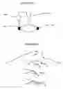 Fig. 07 - Methods for assembly and sorting of nanostructure-containing materials and related articles