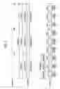 Fig. 08 - Image reading apparatus having a rearranging section providing addresses for accessing to a storage section