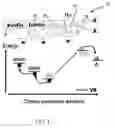 Fig. 02 - Bio-inorganic conjugates