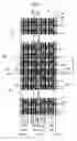 Fig. 02 - Memory device