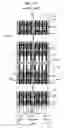 Fig. 16 - Memory device