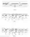 Fig. 07 - Memory cell comprising a thin film three-terminal switching device having a metal source and /or drain region