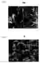 Fig. 07 - Composite material, composite carbon material and method for producing those