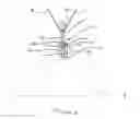 Fig. 02 - Trailer hitch alignment and signaling device